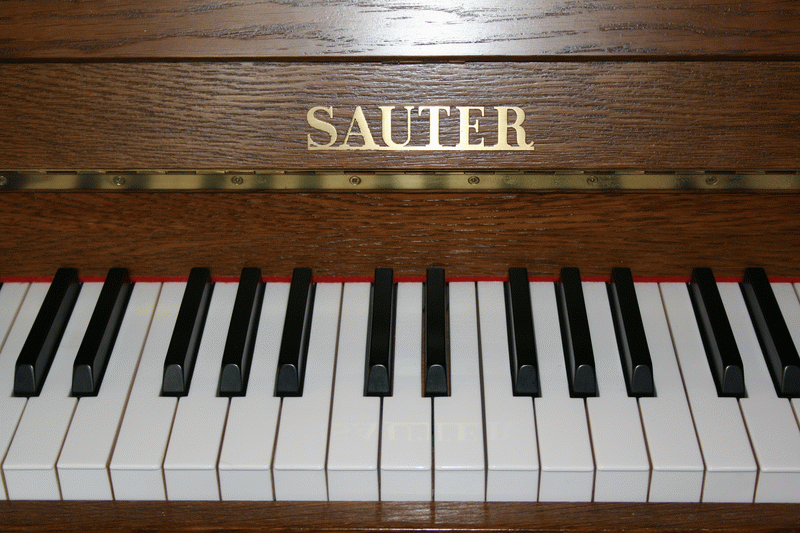 sauter